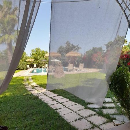 Leone Luxury Villas Kalamákion 외부 사진